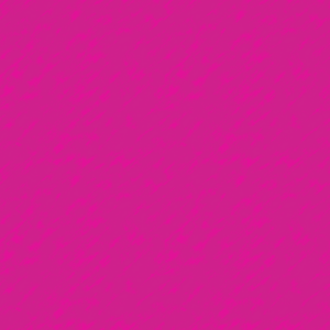 Painted Fuchsia